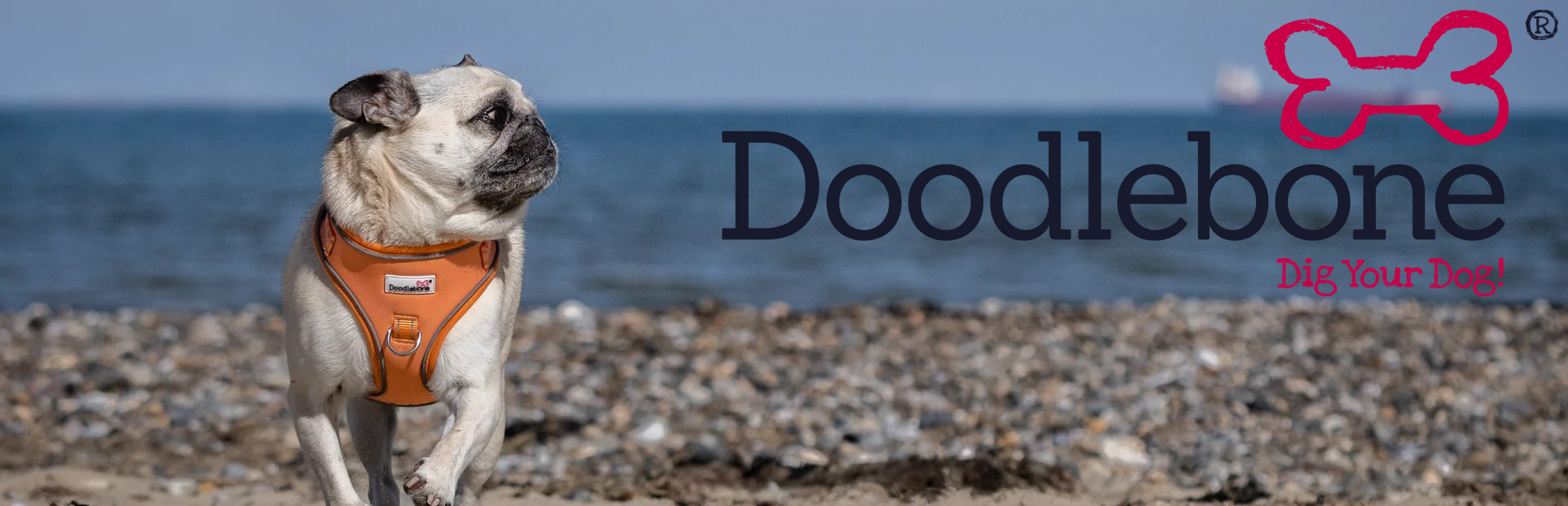 Doodlebone