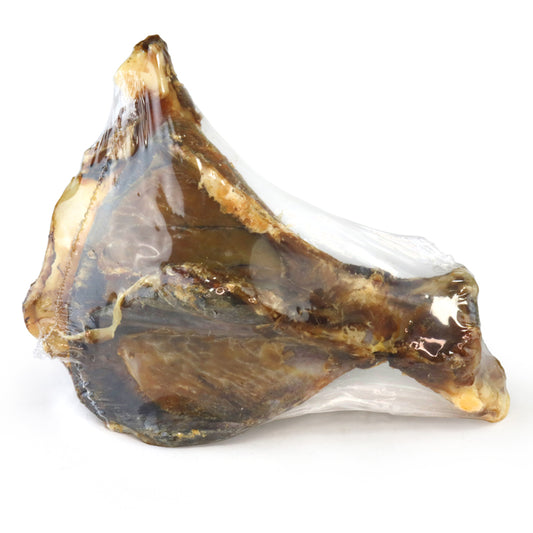 JR Shoulder with Moon Bone