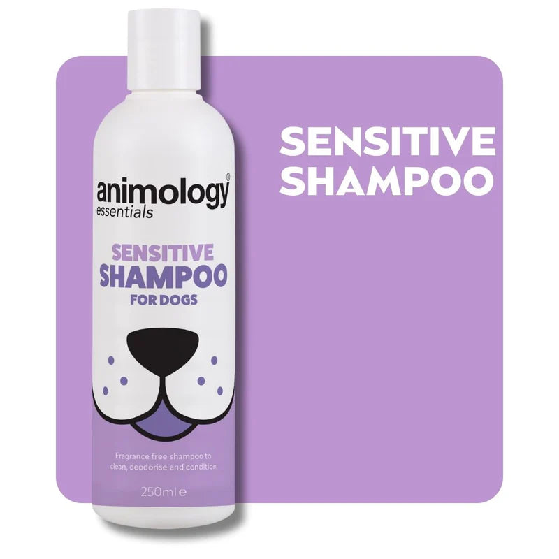 Animology Essentials Dog Shampoo 250ml