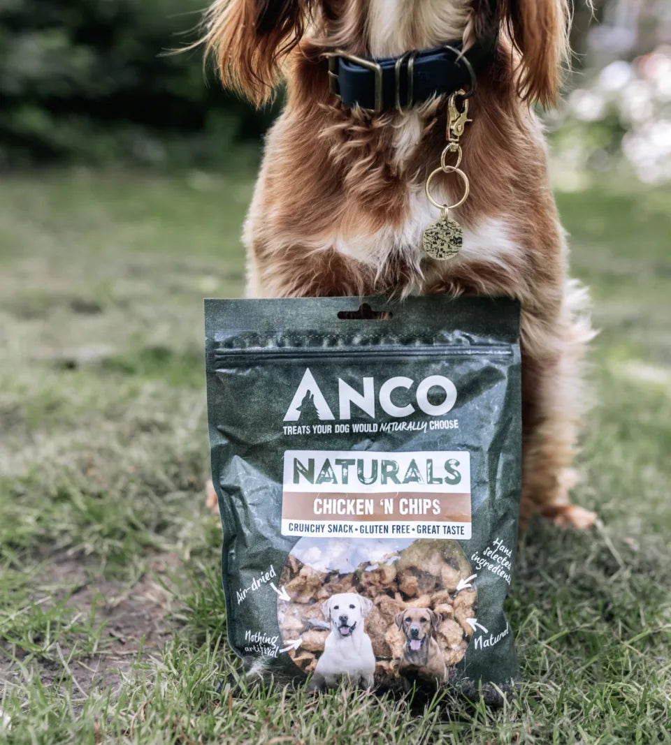 Anco Chicken 'N' Chips 100g