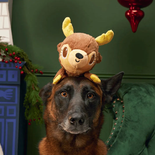 BARK Christmas Splootolph