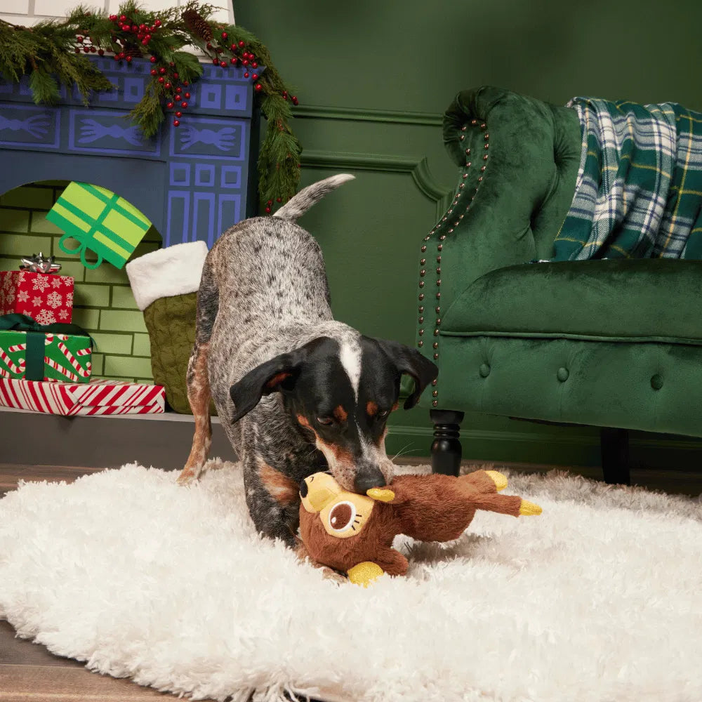 BARK Christmas Splootolph