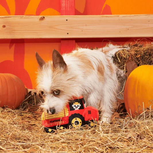 BARK Halloween Oldest McDonald