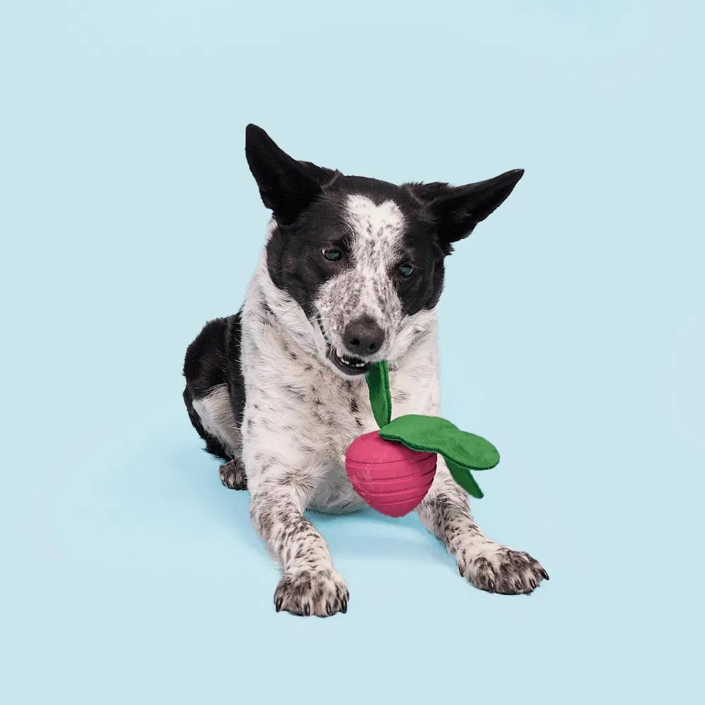 BARK Turnt Up Turnip
