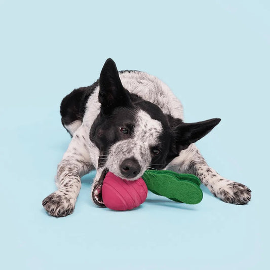 BARK Turnt Up Turnip