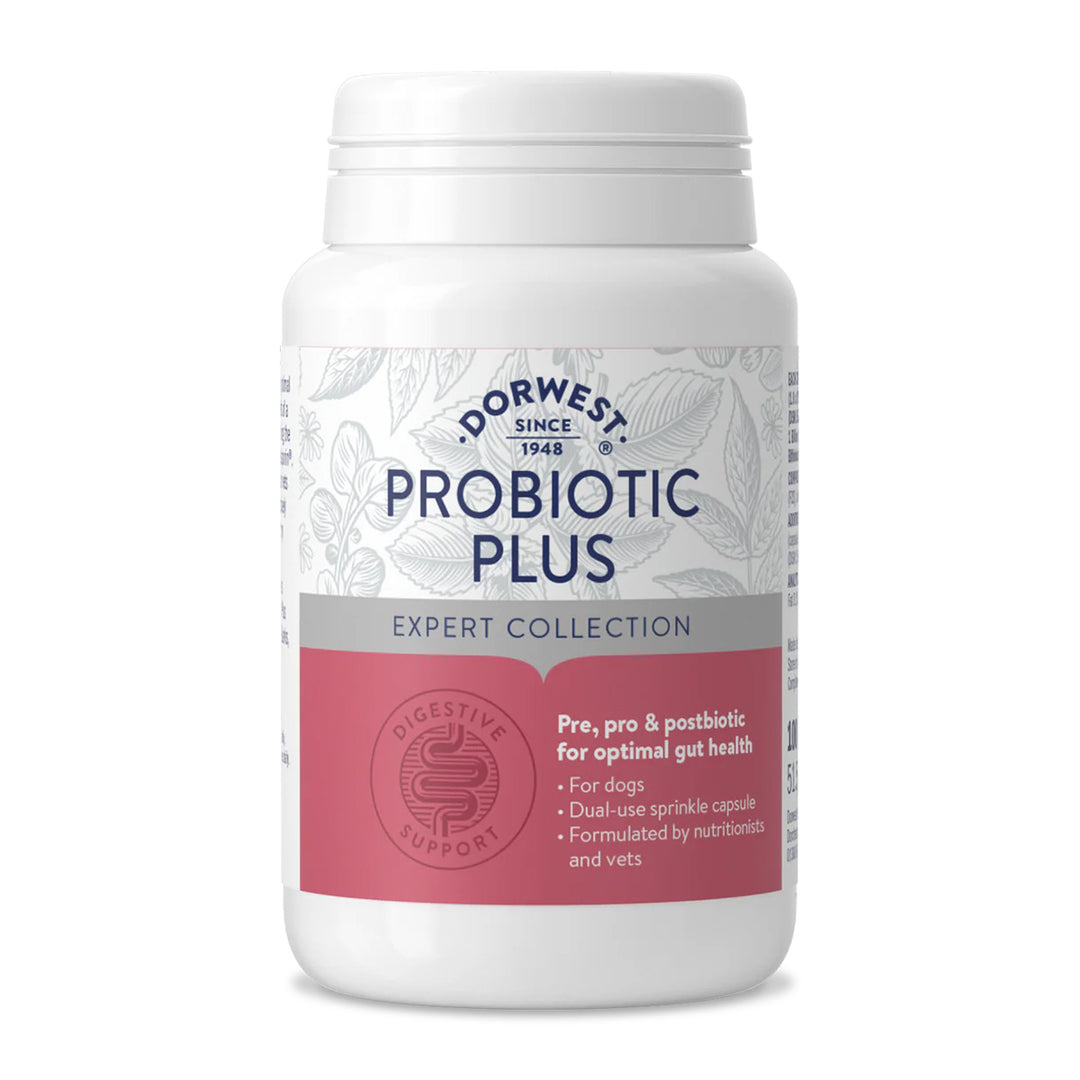 Dorwest ProBiotic Plus 100Tabs