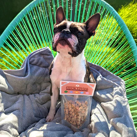 JR Freeze Dried Liver Treats