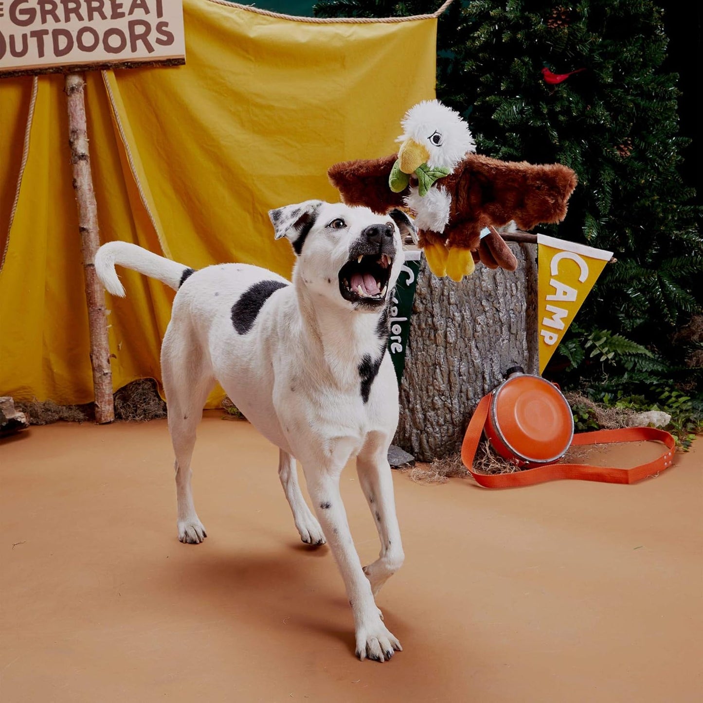 BARK Majestic Marty