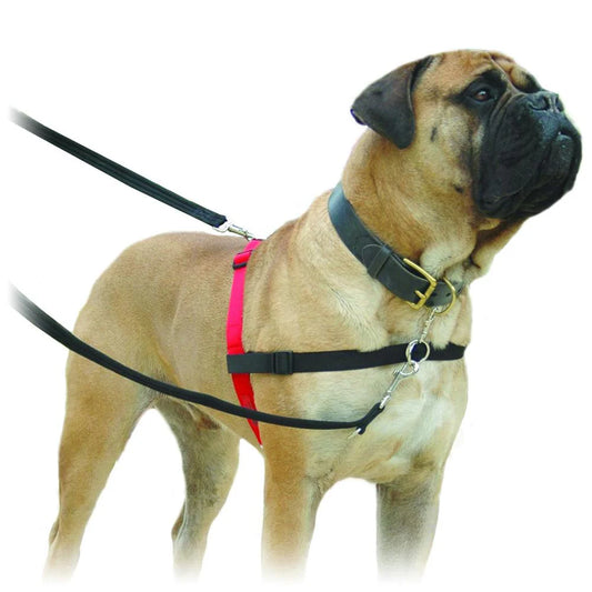 Halti Front Control Harness Large