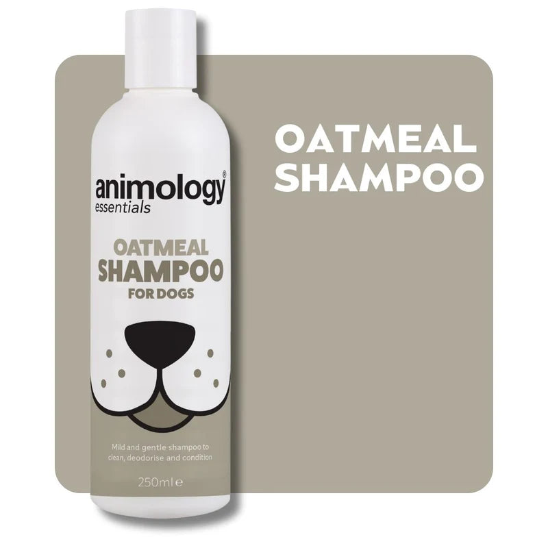 Animology Essentials Dog Shampoo 250ml
