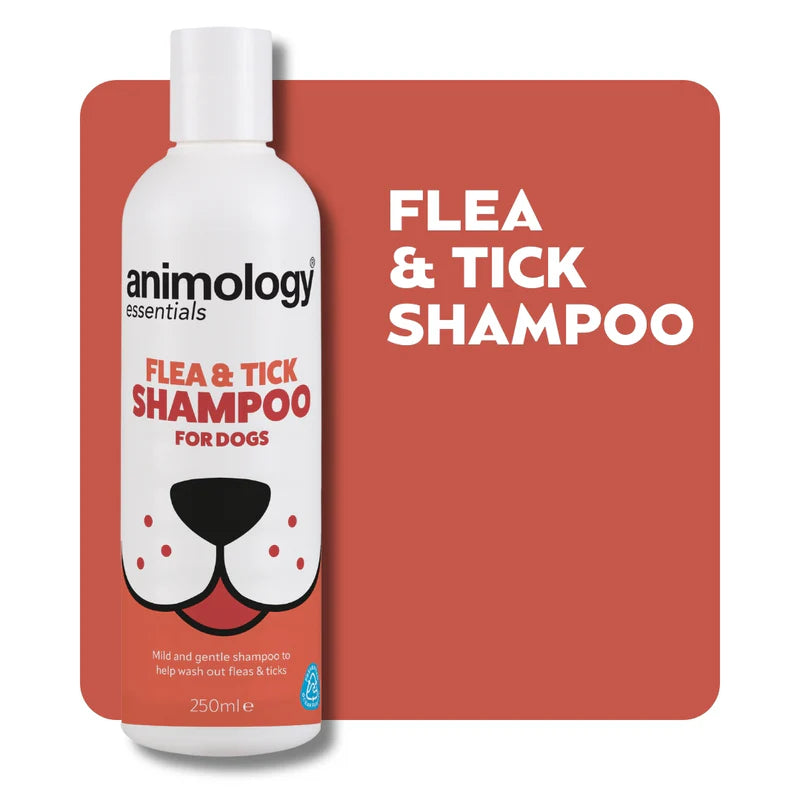 Animology Essentials Dog Shampoo 250ml