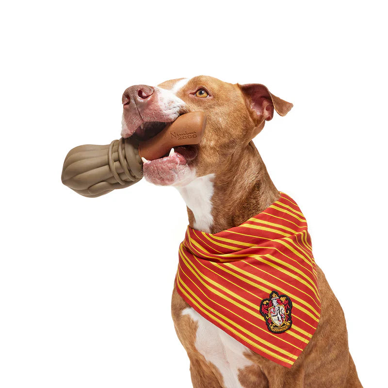 BARK Wizarding World Of Harry Potter Rubber Nimbus 2000