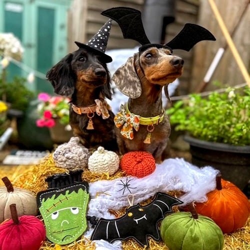 Green & Wilds Count Batula