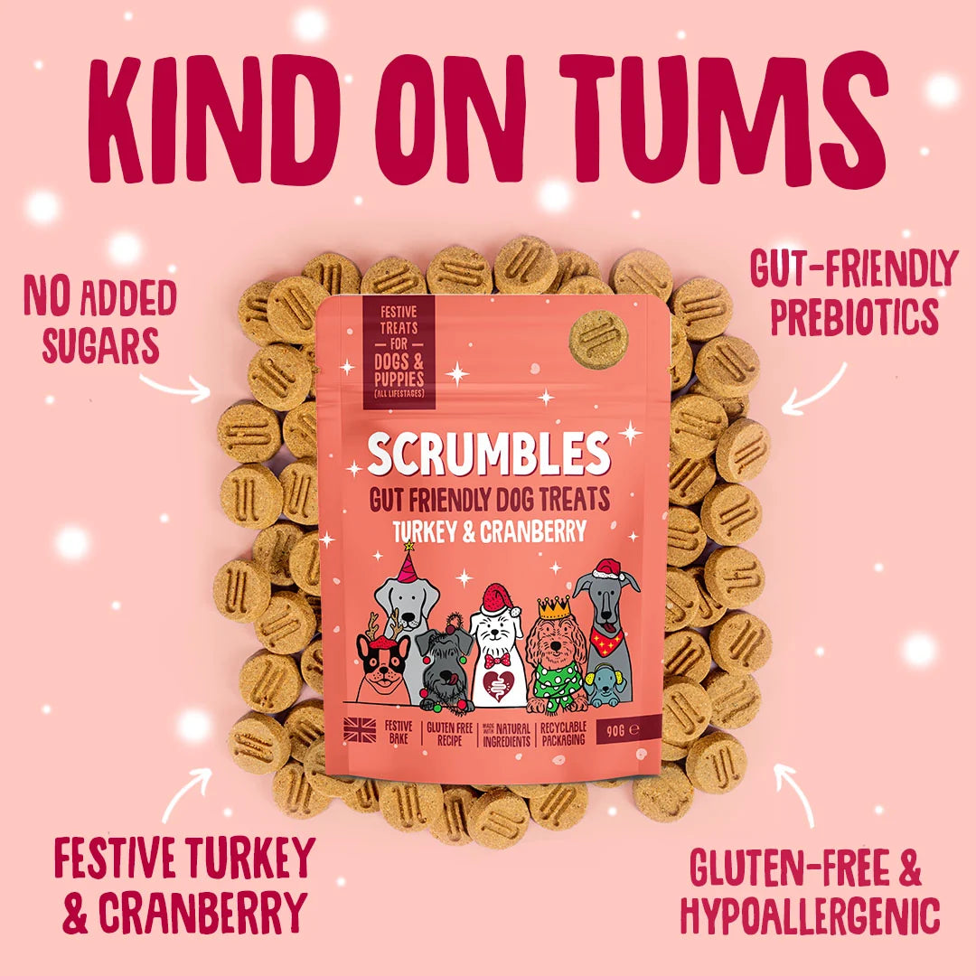 Scrumbles Christmas Turkey & Cranberry Treats 90g