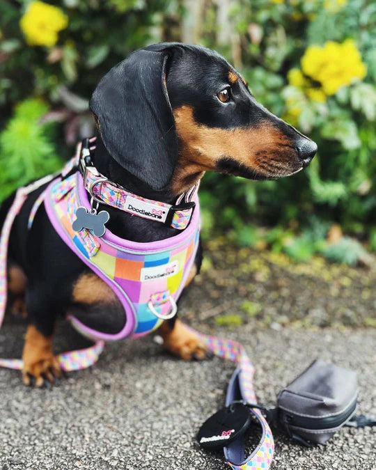 Retro Padded Lead 20mm