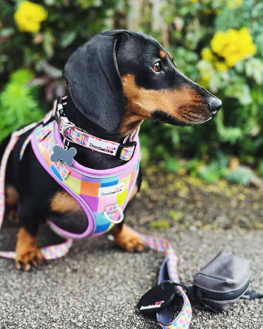 Retro Padded Lead 20mm