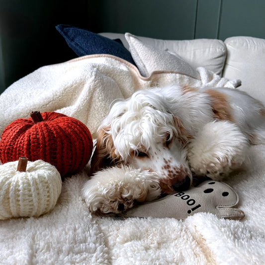 Green & Wild's Boo Hoo Ghost