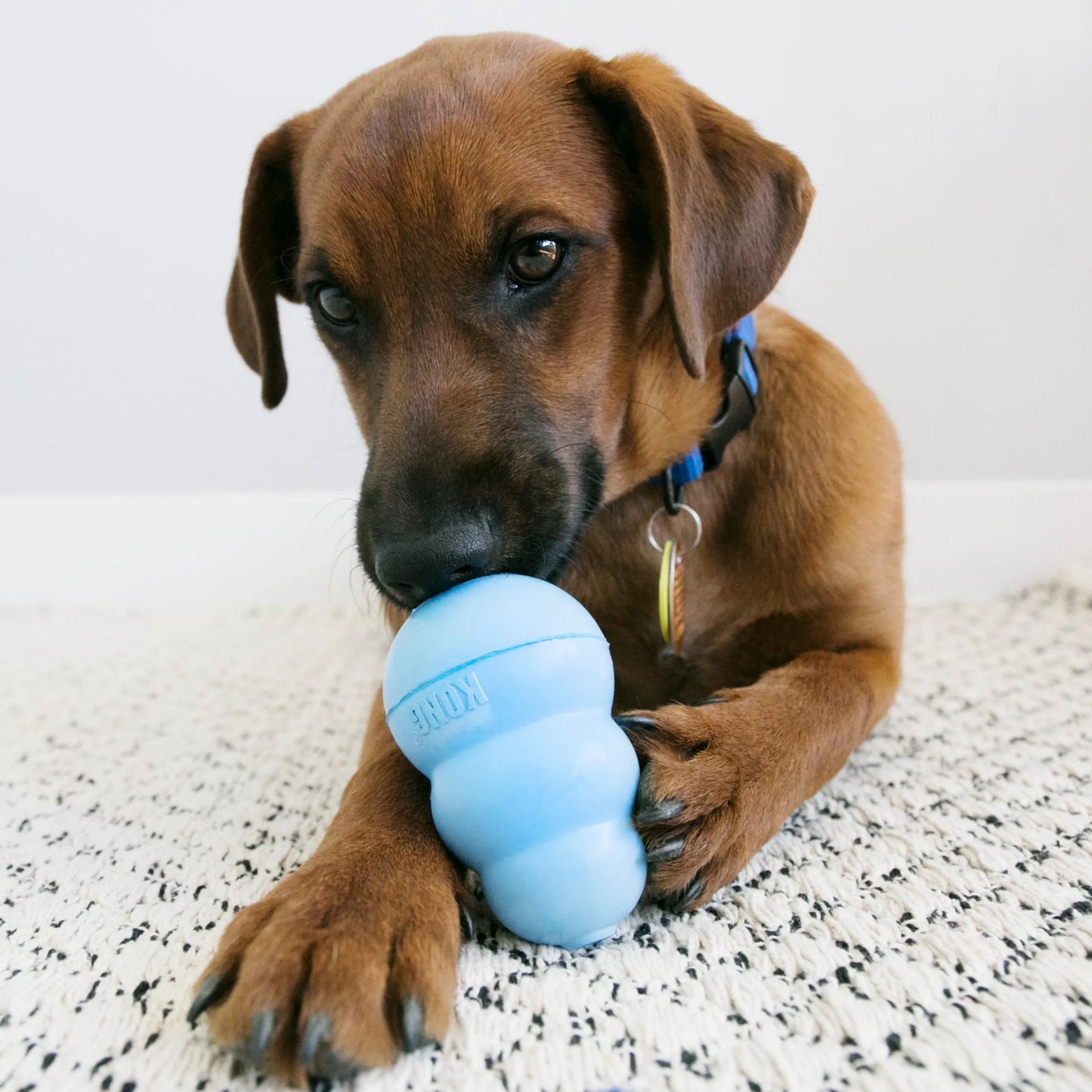 Kong Puppy Classic