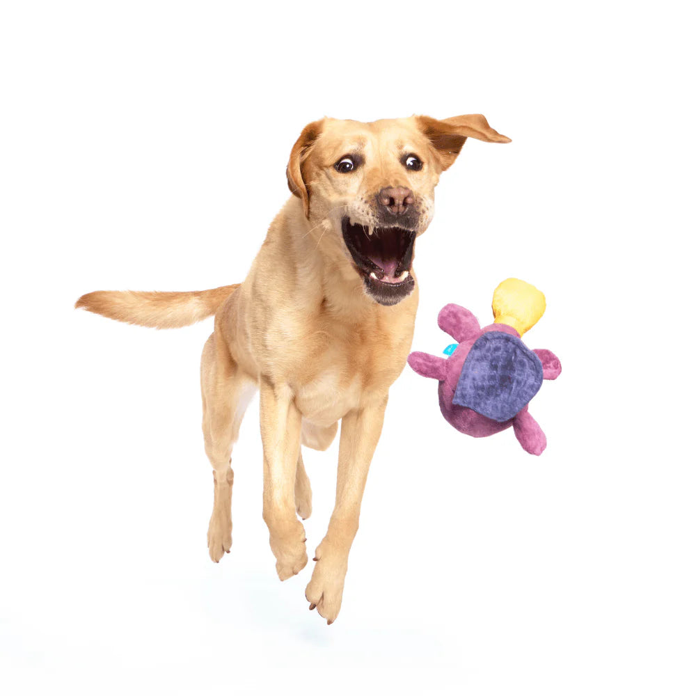 BARK Pippi Platypus