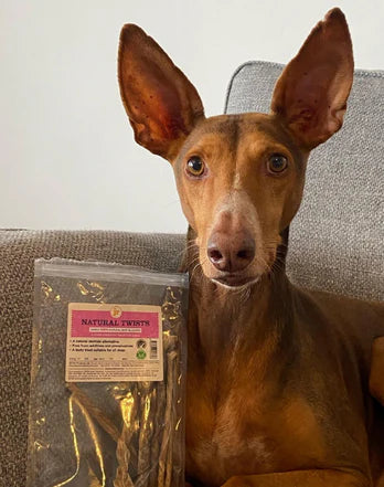 JR Natural Beef Bladder Twist 100g