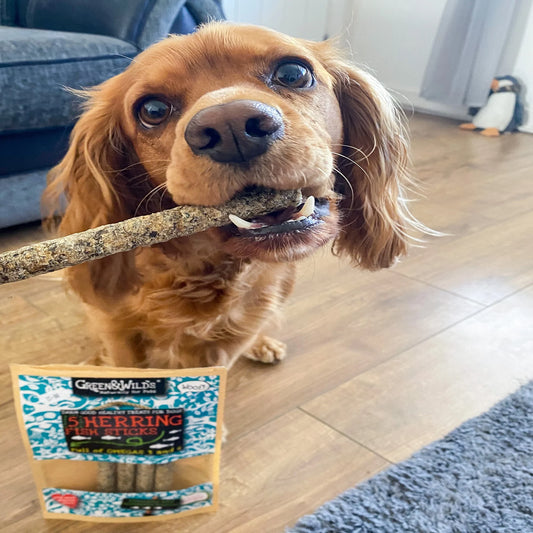 Green & Wilds Herring Fish Sticks For Dogs 100g