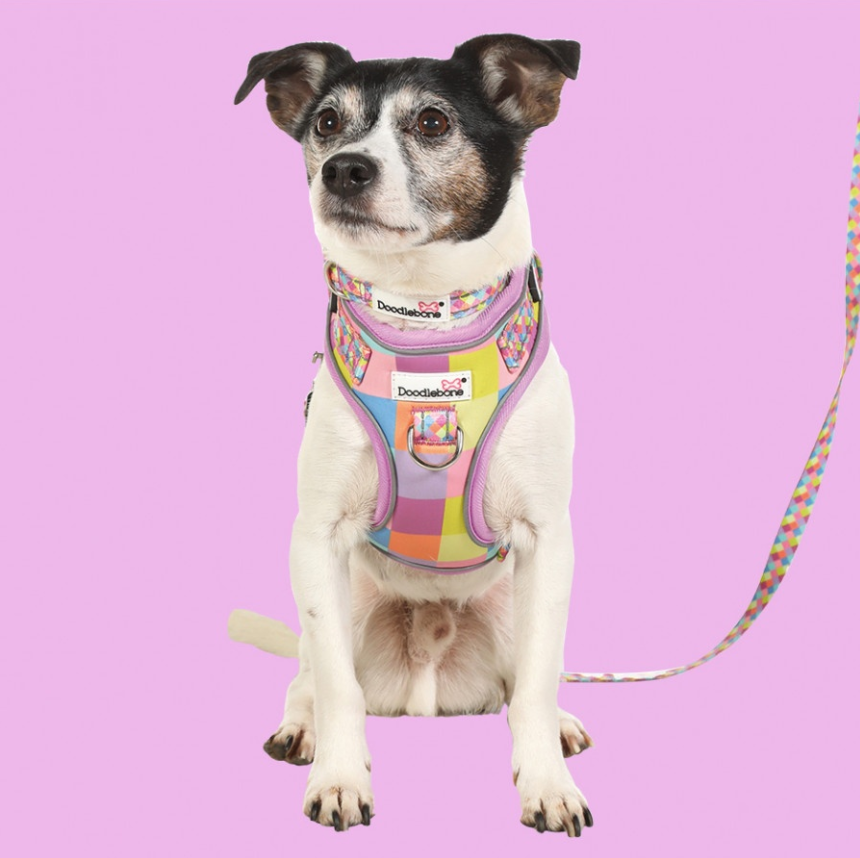 Doodlebone Adjustable Airmesh Harness Retro
