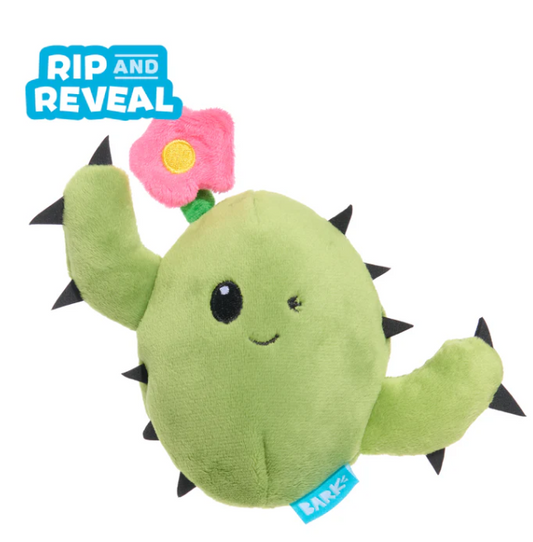 BARK Consuela The Cactus