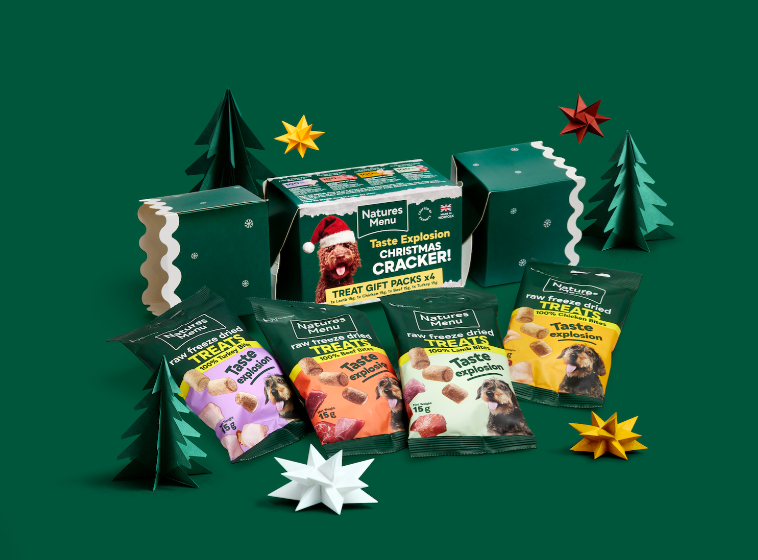 Natures Menu The Taste Explosion Christmas Cracker 4x15g