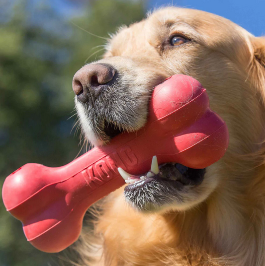 KONG Holiday Goodie Bone Medium