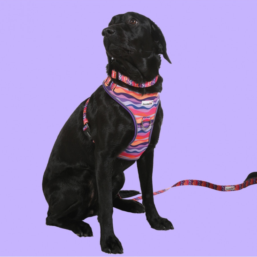 Doodlebone Adjustable Airmesh Harness Dunes