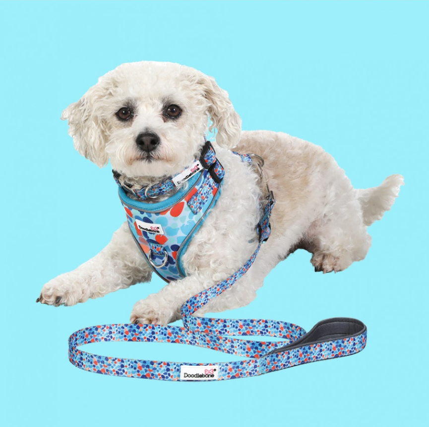 Doodlebone Adjustable Airmesh Harness Reef