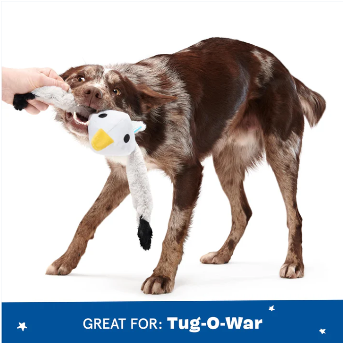 BARK Sully the Gully