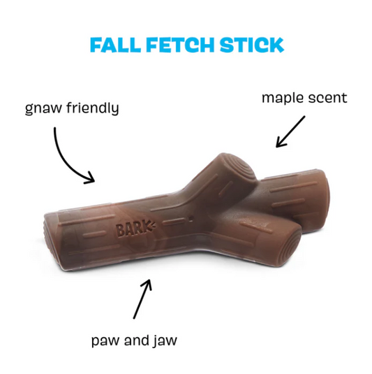 BARK Fall Fetch Stick