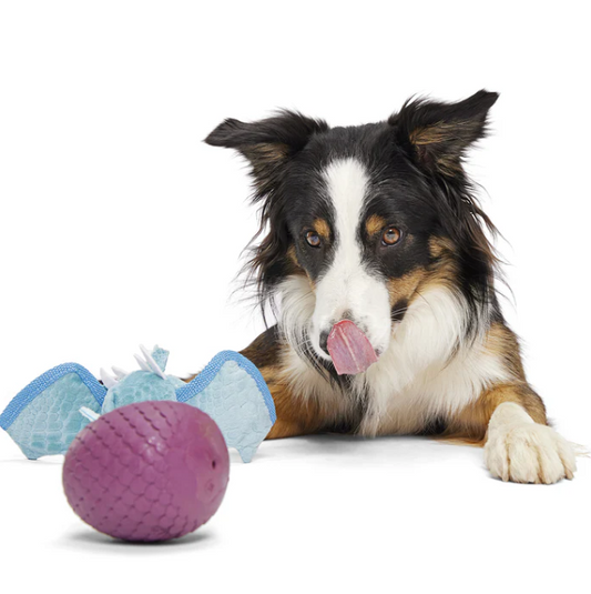 BARK Brrrtha The Dragon