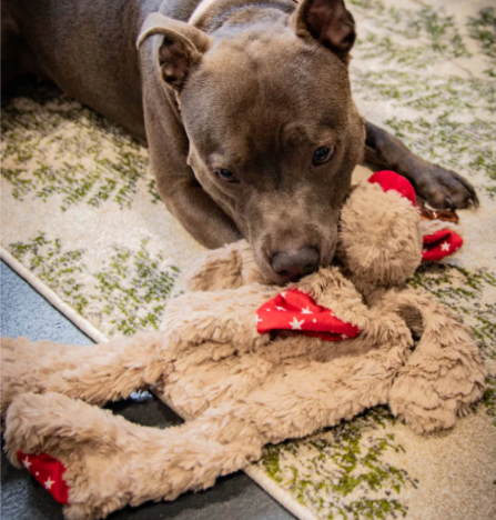 Rosewood Rita Reindeer