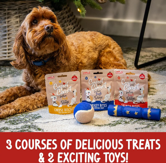 Rosewood Christmas Dinner Stocking 260g