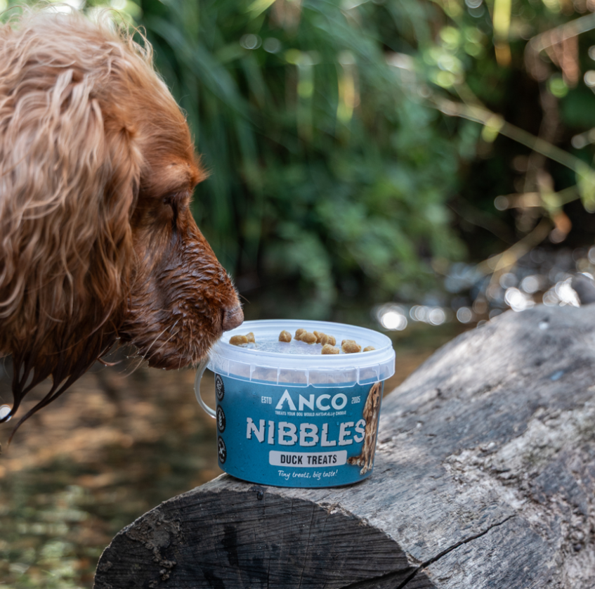Anco Nibbles 300g