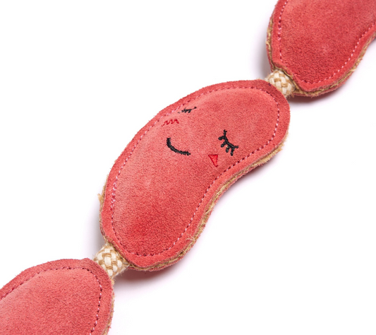 Green & Wild Sizzle Sisters