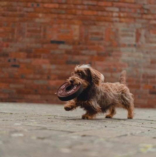 Green & Wild Derrick The Donut