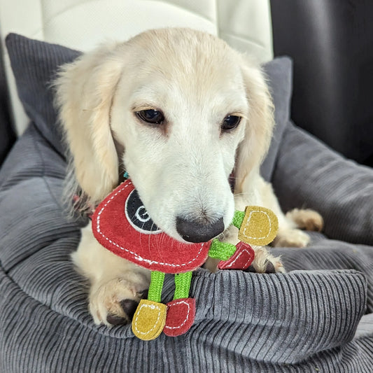 Green & Wild's Steve The Strawberry