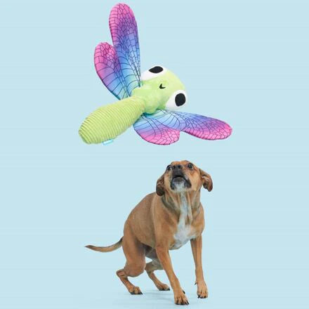 BARK Dragonfly Guy