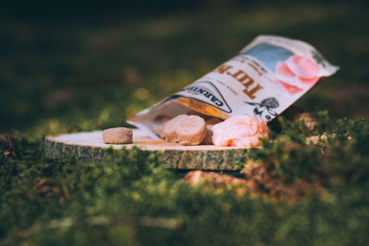 Carnilove Turkey Freeze Dried RAW 60g