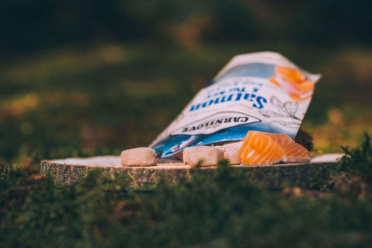 Carnilove Salmon & Turkey Freeze Dried RAW 60g