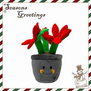 Henrietta Poinsettia