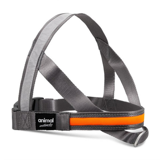 Animal Instincts Flashing Safety Harness