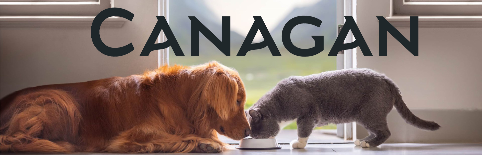 Canagan Wet Cat Food