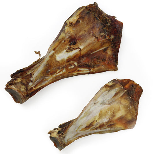 JR Shoulder with Moon Bone