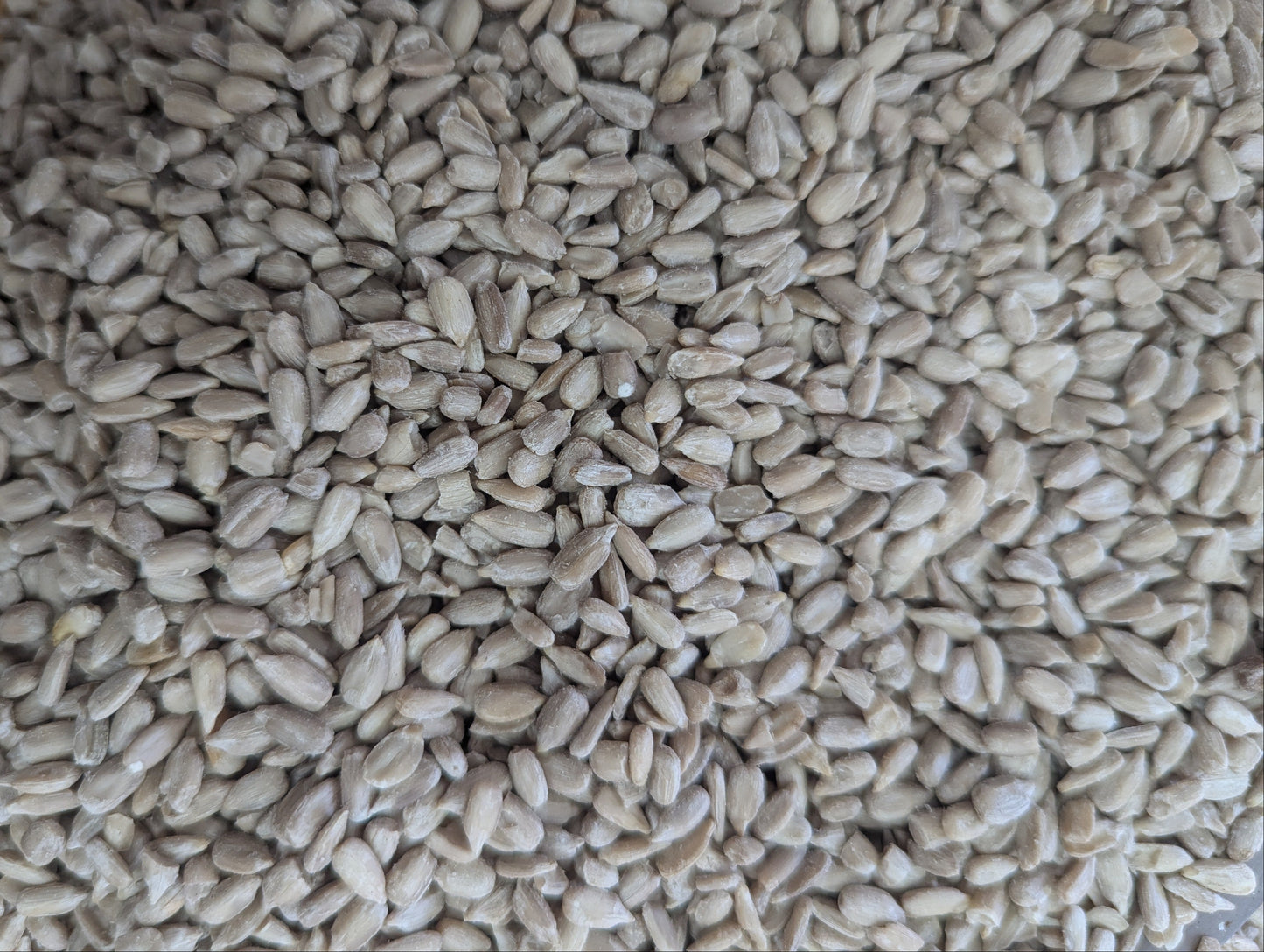 Sunflower Hearts 1kg