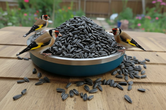 Sunflower Seeds 1kg