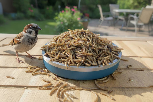 Dried Mealworms 500g